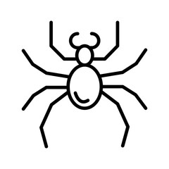 spider on a white background