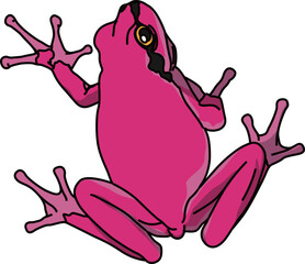 カエル（frog）(eps)