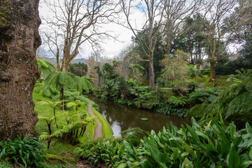 Park Terra Nostra in the island of São Miguel in Azores - Portugal