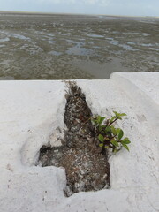 sand castle on the beach
