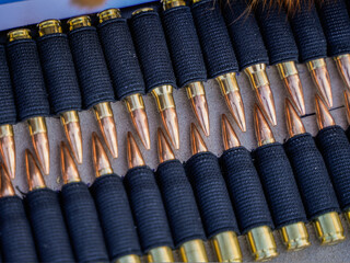 Ammunition for Precision and Sniper Firearms, and .22LR Caliber During Training at a Shooting Range
