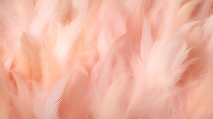 An abstract background of fluffy peach fuzz feathers that are delicate and dreamy in texture. 