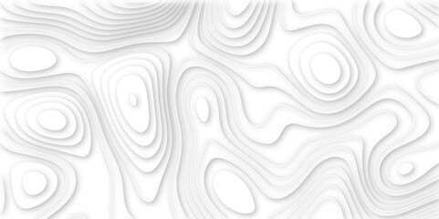  white paper and relief wave and cruve line paper cut background. soft white color seamless pattern, vector illustration, multi layer cutout banner design. topo counter map in 3d view.