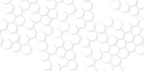 Abstract White Hexagonal Background. Luxury White Pattern. Vector Illustration.abstract honeycomb technology mosaic white background. geometric mesh cell texture.Abstract honeycomb background.	 - obrazy, fototapety, plakaty