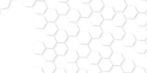 Abstract White Hexagonal Background. Luxury White Pattern.Hexagon concept design abstract technology geometry pattern, honeycomb white Background