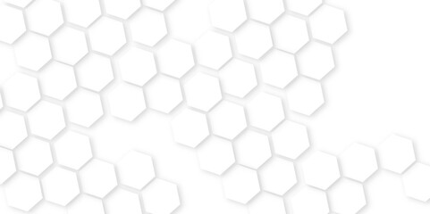 Abstract White Hexagonal Background. Luxury White Pattern.Hexagon concept design abstract technology geometry pattern, honeycomb white Background