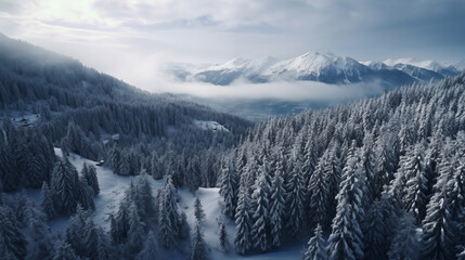 Aerial View of Snowy Winter Landscape. Aerial shot of a snowy forest with mountains, suitable for holiday and travel themes.
