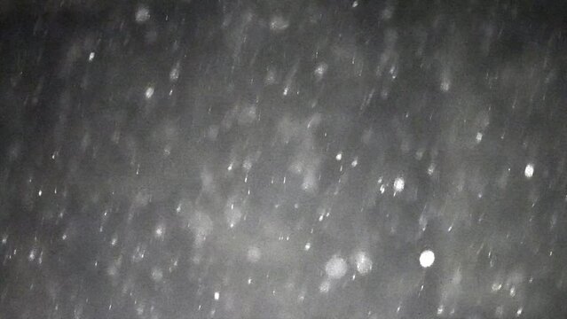 The atmosphere of the forest on a snowy winter night