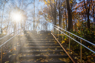 Beautiful autumn day in Gomel park.