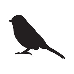 bird silhouettes white background. Vector illustration