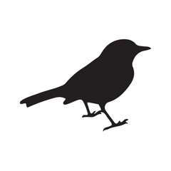 bird silhouettes white background. Vector illustration
