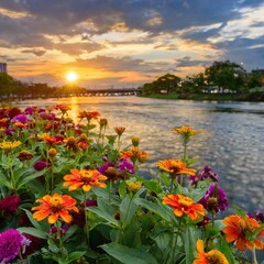 Obraz premium flowers at sunset