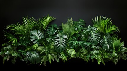 Fototapeta na wymiar Tropical vibes plant bush floral arrangement with tropical leaves Monstera 