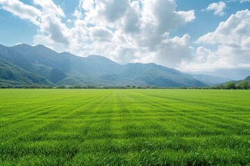 Fototapeta premium empty landscape gren field with mountain background