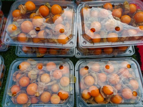 Cape gooseberry (Physalis peruviana) or Golden Bell, goldenberry, Peruvian groundcherry, Uchuva. Fresh organic, healthy physalis fruit in clear plastic food box at fruits market. Chiang Mai Thailand.