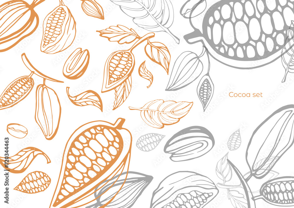 Wall mural vector set of hand drawing of cocoa, cocoa branches, leaves, coffee and chocolate. cocoa bean tree d