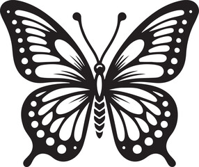 Butterfly Vector illustration