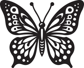 Butterfly Vector illustration