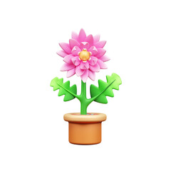 Flower 3d icon illustration or Chrysanthemum Flower Pot 3D Icon illustration