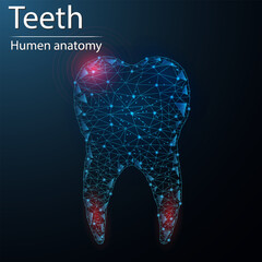 Human teeth anatomy organ translucent low poly triangle futuristic glowing. On dark blue background. Dental treatment and restoration concept.