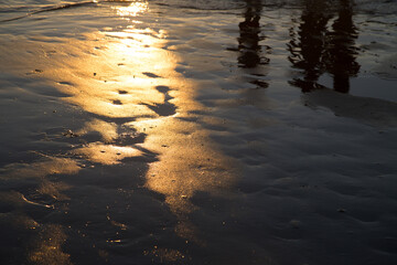 coastal scenery under the winter golden sunset.