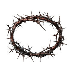 crown of thorns