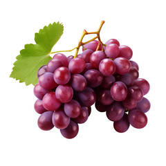 Fototapeta premium bunch of grapes