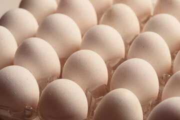 Macro detail of white eggs with warm light. Food concept.