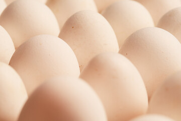 Macro detail of white eggs with warm light. Food concept.