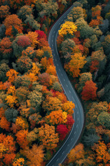 Overhead of a highway winding through a colorful autumn forest