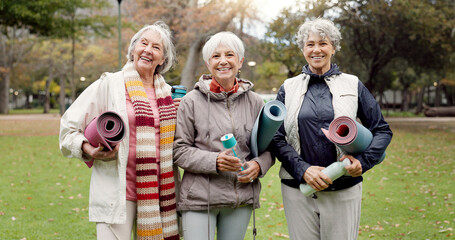 Old women, friends and yoga in the park, fitness and smile in portrait, health and retirement...