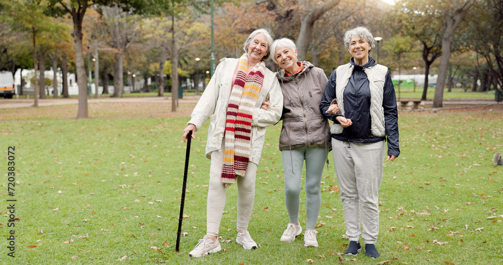 Canvas Prints Smile, retirement and senior friends in the park, laughing together while standing on a field of grass. Portrait, freedom and comedy with a group of elderly women in a garden for fun or humor