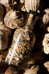 Glass bottle with seashells lying on the seashells