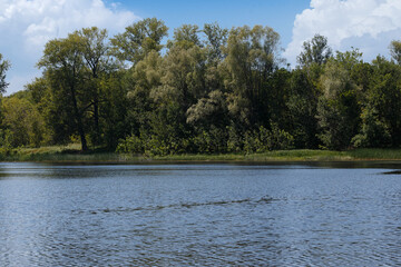 water surface, forest on the river bank.