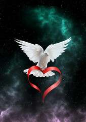 Illustration of a dove with a heart against the background of the starry sky.