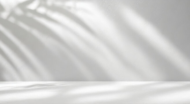 Grey background for product presentation with beautiful lights and tropical shadows