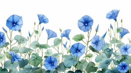 Detailed Watercolor Illustration of Morning Glory Plants for Architects Generative AI