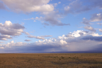 incoming storm in the savannah of Amboseli NP