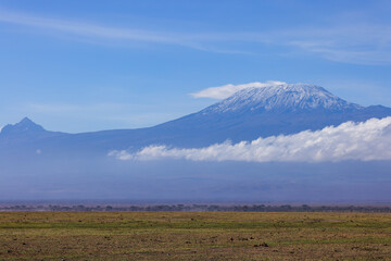 the savannah of Amboseli NP with mount kilimanjaro in background