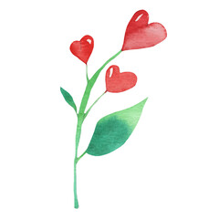 Watercolor red heart flower element on white background. Beautiful decorative elements in shape of hearts isolated on white backround.Valentine day