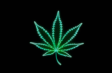 Neon Led marijuana leaf on black background, medical marijuana, legalization
