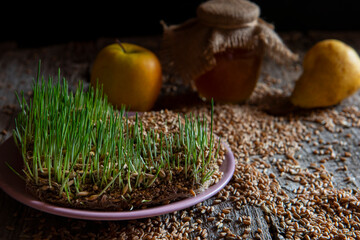 Sprouted wheat sprouts and honey on a rough wooden background. dark village photo. natural products...