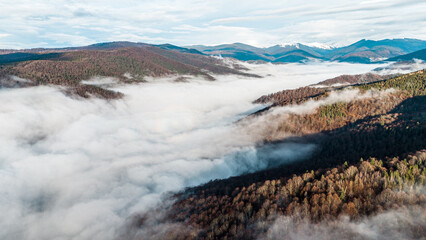 Mountain forest covered with mist. Fog in the forest. Aerial view with the forest in the mountains covered by the fog that floats over the valley. Valley between the mountains covered with mist.