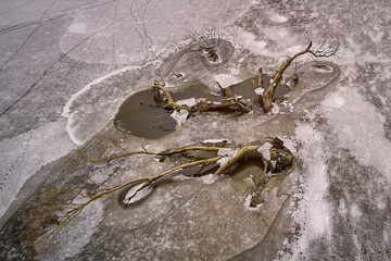 Zamarznięte oczko wodne- Frozen pond