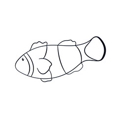 Clown fish icon in line art style. Shape of undersea fish for logo design, menu, restaurant, seafood store. Vector illustration isolated on a white background.