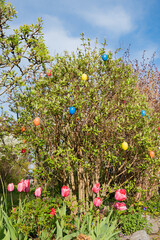 spring garden with budding shrub and easter eggs, pink tulip flowers