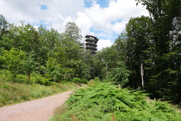 Wanderweg und Aussichtsturm Baumwipfelpfad Saarschleife Cloef