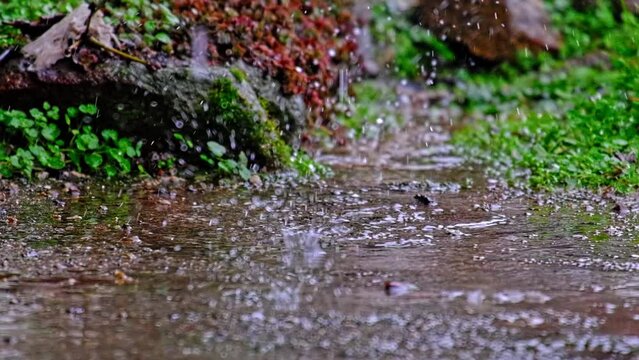 Water drops in 240 frames per second. Clear water ripping on the concrete or ground. Slow motion.