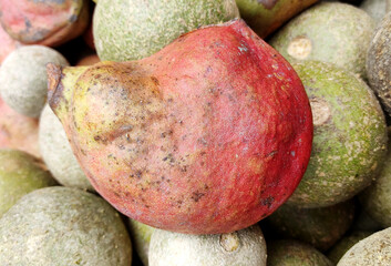 Bastard poon fruits (Sterculia foetida), commonly known as jongli badam.