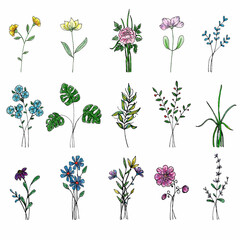 Hand drawn set of flowers. Liner, gel pens and watercolor pencils. Field flowers. Fantasy flowers. Floral arrangement. 